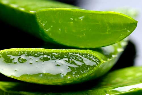 Receta con aloe vera para la piel